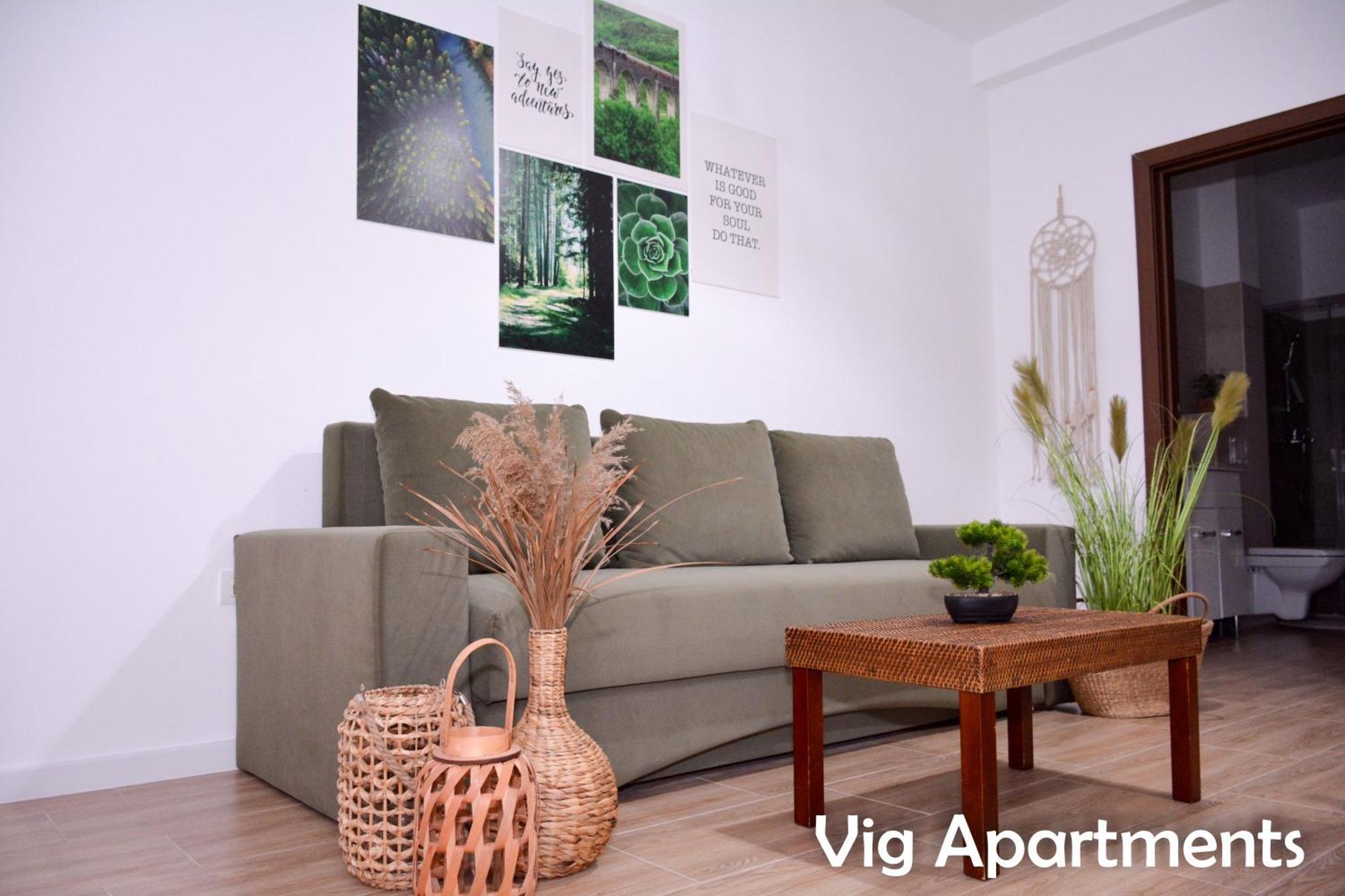 Vig Apartments ทิมิชัวรา ภายนอก รูปภาพ