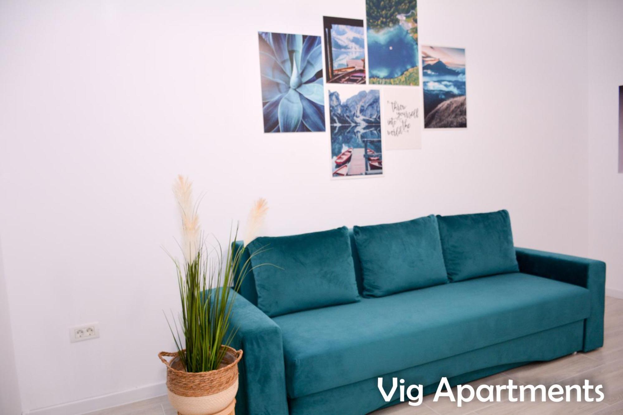 Vig Apartments ทิมิชัวรา ภายนอก รูปภาพ