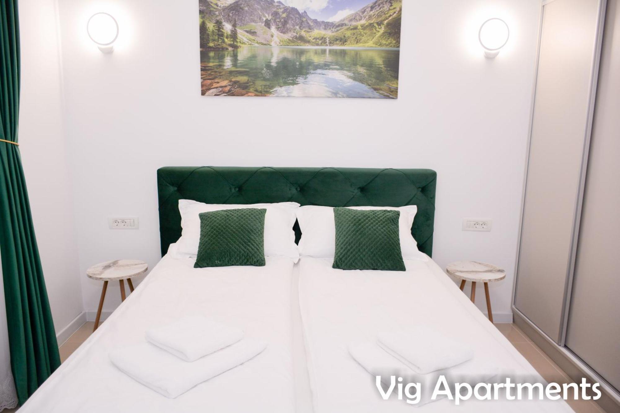 Vig Apartments ทิมิชัวรา ภายนอก รูปภาพ