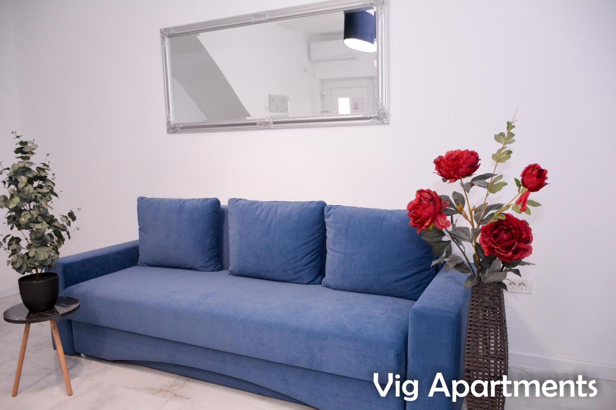 Vig Apartments ทิมิชัวรา ภายนอก รูปภาพ