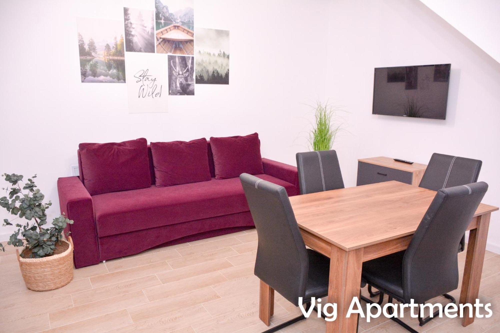 Vig Apartments ทิมิชัวรา ภายนอก รูปภาพ