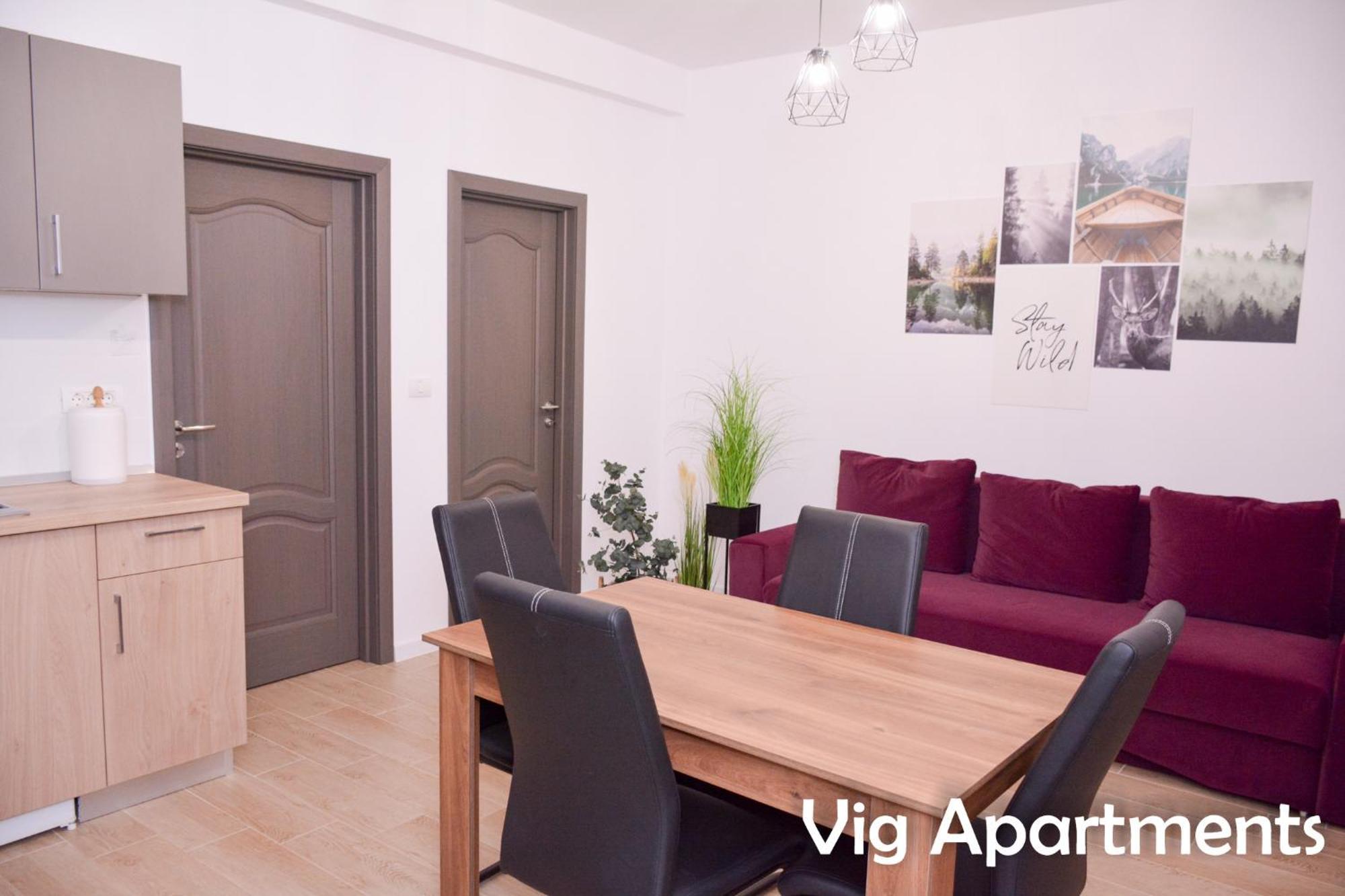 Vig Apartments ทิมิชัวรา ภายนอก รูปภาพ